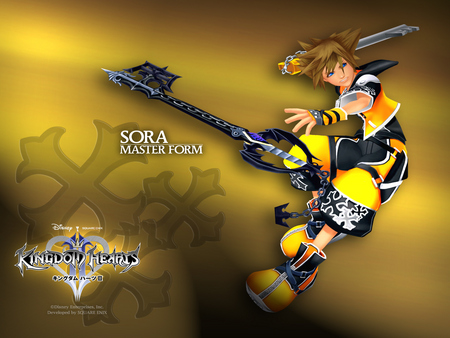 Sora Master Form