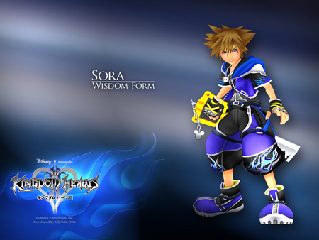 Sora Wisdom Form