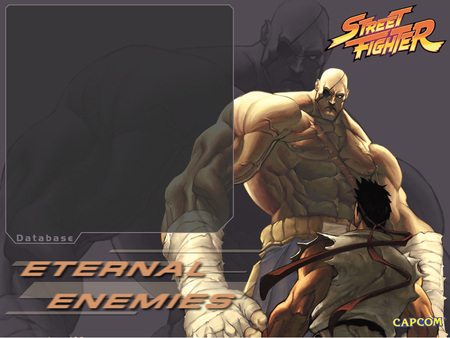 ryu sagat