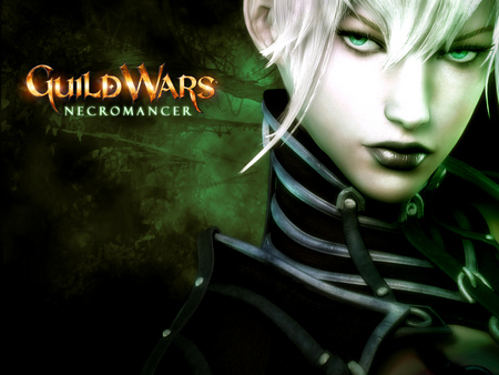 GuildWars Necromancer