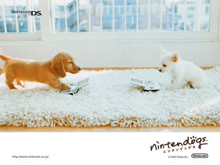 Nintendogs